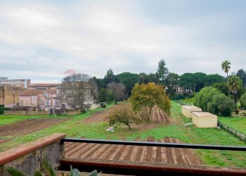 Giardino - Appartamento Via Spagnoli
 
snc, Caltagirone - foto 14