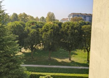 Giardino - Four-room apartment VIA PAOLO VERONESE
 
45, Torino - photo 32