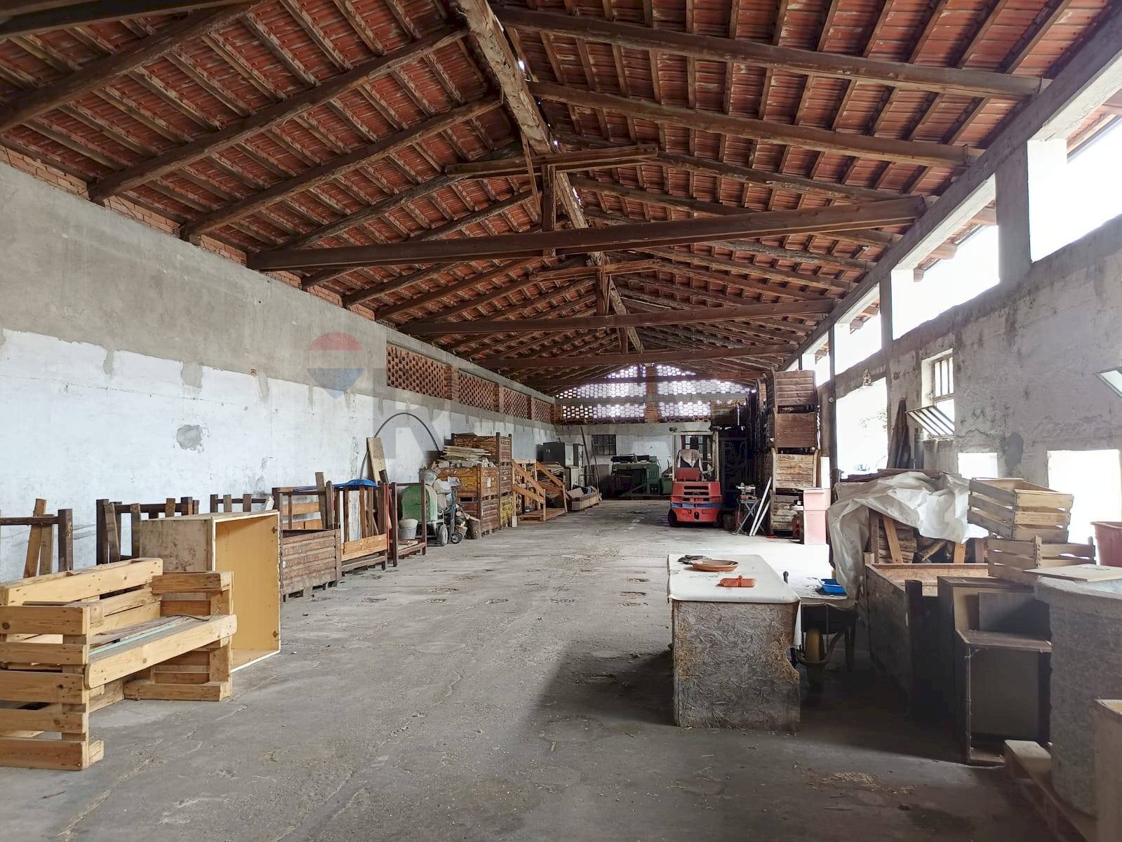 Parcheggio - Capannone Piscina - foto 3