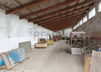 Terrazza - Capannone Piscina - foto 10