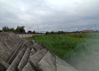 Giardino - Capannone Piscina - foto 16