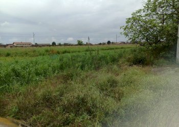 Giardino - Capannone Piscina - foto 18