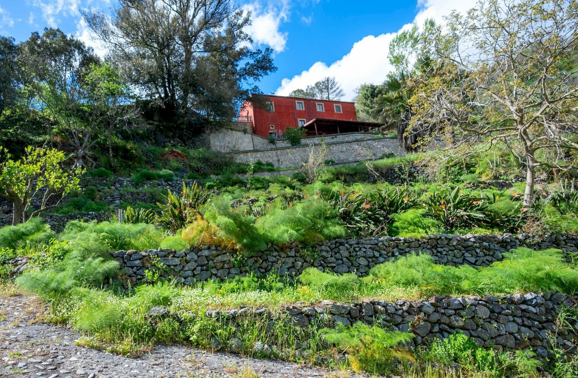 Giardino - Agriturismo Provinciale 25 KM 9, Mandanici - photo 3