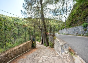 Giardino - Agriturismo Provinciale 25 KM 9, Mandanici - foto 2