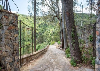 Giardino - Agriturismo Provinciale 25 KM 9, Mandanici - foto 4