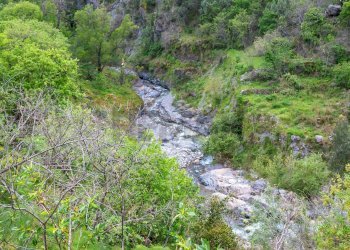 Giardino - Agriturismo Provinciale 25 KM 9, Mandanici - foto 5