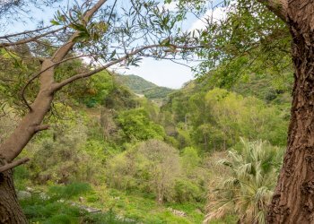 Vista delle montagne - Agriturismo Provinciale 25 KM 9, Mandanici - foto 14