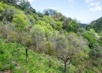Vista delle montagne - Agriturismo Provinciale 25 KM 9, Mandanici - foto 15
