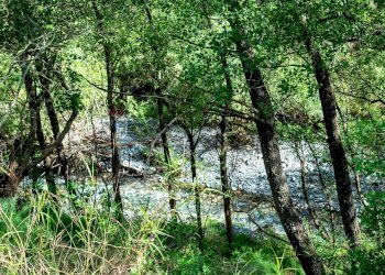 Giardino - Agriturismo Provinciale 25 KM 9, Mandanici - foto 22