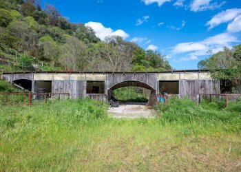 Giardino - Agriturismo Provinciale 25 KM 9, Mandanici - foto 23