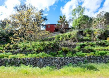 Giardino - Agriturismo Provinciale 25 KM 9, Mandanici - foto 24