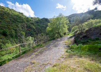 Vista delle montagne - Agriturismo Provinciale 25 KM 9, Mandanici - foto 29