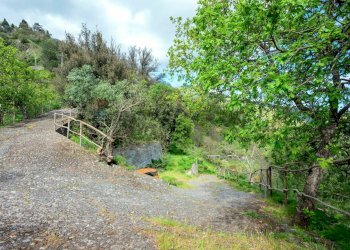 Giardino - Agriturismo Provinciale 25 KM 9, Mandanici - foto 30