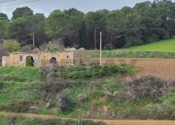 Giardino - Rustico VIA AMILCARE
 
SN, Caltagirone - foto 3