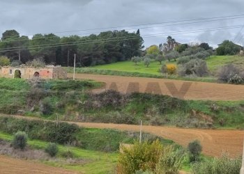 Giardino - Rustico VIA AMILCARE
 
SN, Caltagirone - foto 4