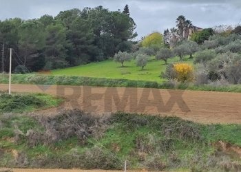 Giardino - Rustico VIA AMILCARE
 
SN, Caltagirone - foto 5