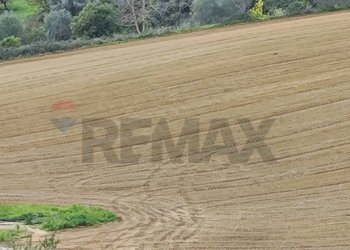 Dettagli - Rustico VIA AMILCARE
 
SN, Caltagirone - foto 7