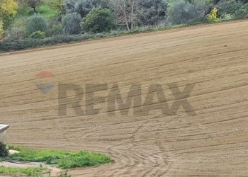 Dettagli - Rustico VIA AMILCARE
 
SN, Caltagirone - foto 9