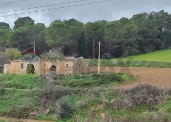 Giardino - Rustico VIA AMILCARE
 
SN, Caltagirone - foto 12