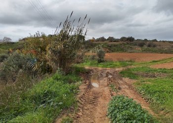 Giardino - Rustico VIA AMILCARE
 
SN, Caltagirone - foto 17