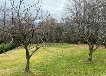 Giardino - Casa indipendente VIA CAMPAGNOLA
 
20, Polaveno - foto 13