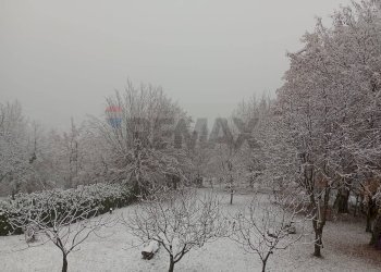 Non correlato - Casa indipendente VIA CAMPAGNOLA
 
20, Polaveno - foto 14