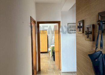 Hall / corridoio - Appartamento Belluno - foto 13