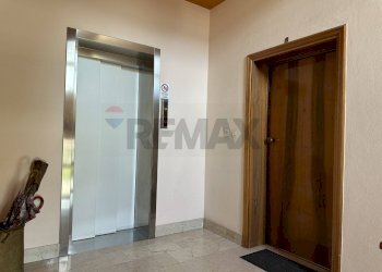 Hall / corridoio - Appartamento Belluno - foto 17