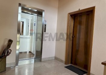 Ricezione / Lobby - Appartamento Belluno - foto 18