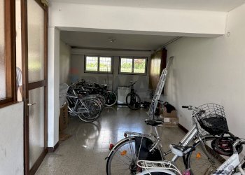 Palestra - Appartamento Belluno - foto 23