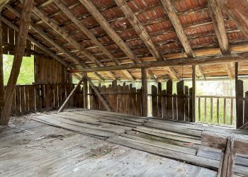Terrazza - Rustic Calalzo di Cadore - photo 14