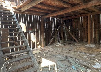 Cantina - Rustic Calalzo di Cadore - photo 17