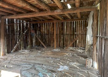 Cantina - Rustic Calalzo di Cadore - photo 18