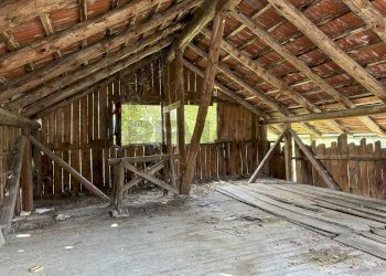 Terrazza - Rustic Calalzo di Cadore - photo 19