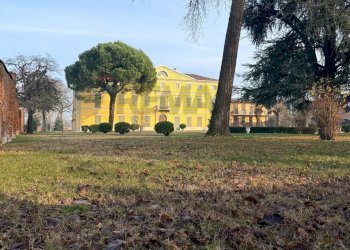 Giardino - Casa indipendente via Ferraris Napoleone
 
34, Castel San Giovanni - foto 8