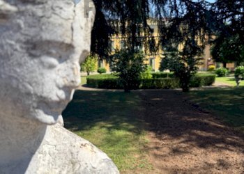 Giardino - Casa indipendente via Ferraris Napoleone
 
34, Castel San Giovanni - foto 33