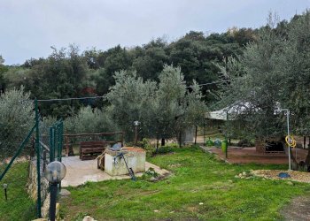 Giardino - Villa Località Rosavena, Vieste - foto 27