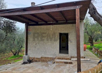 Terrazza - Villa Macchiaria, Vieste - foto 19