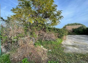 Foto 3 - Terreno agricolo Via Giardini della Fawara, Palermo - foto 3