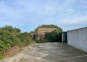 Foto 4 - Terreno agricolo Via Giardini della Fawara, Palermo - foto 4