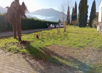 Giardino - Appartamento Borgo a Mozzano - foto 27