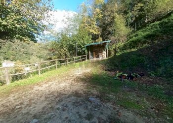 Giardino - Casa indipendente VIA LETIZIA
 
8/A, Bagni di Lucca - foto 26