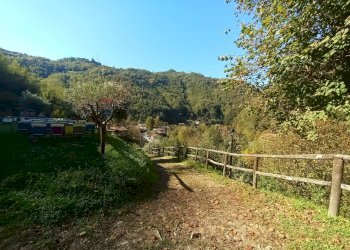 Giardino - Casa indipendente VIA LETIZIA
 
8/A, Bagni di Lucca - foto 27