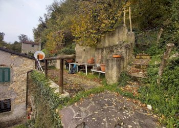 Giardino - Casa indipendente Minucciano - foto 57