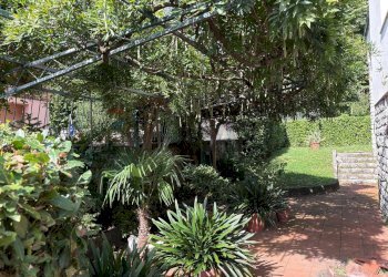 Giardino - Appartamento Borgo a Mozzano - foto 7