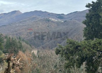 Vista delle montagne - Casa semi indipendente VIA DI CASTELLO, Coreglia Antelminelli - foto 23