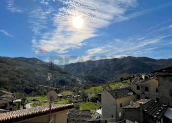 Vista delle montagne - Casa semi indipendente San Marcello Piteglio - foto 15