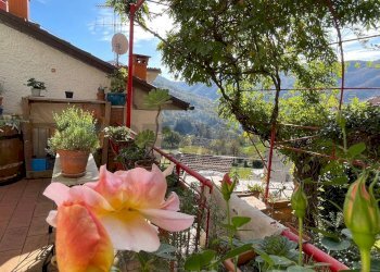 Terrazza - Casa semi indipendente San Marcello Piteglio - foto 34