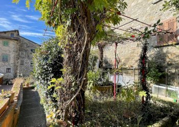 Giardino - Casa semi indipendente San Marcello Piteglio - foto 47