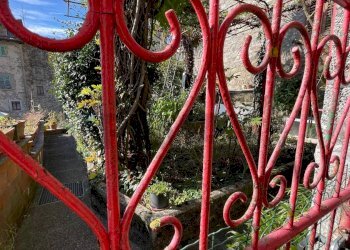 Giardino - Casa semi indipendente San Marcello Piteglio - foto 50